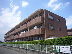 ジェネシス大島Ｂ 107