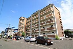 サン・プラシード 203