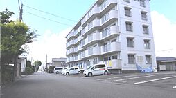 フィニステラ 202