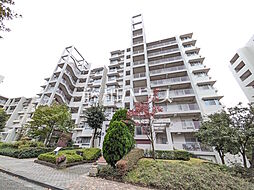 南大沢学園・萌樹の丘 6階