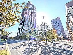 ブリリアタワー聖蹟桜ヶ丘ブルーミングレジデンス 31階