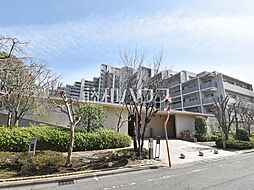 コスモ・ザ・パークス調布多摩川 5階