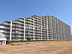 レガリア 11階