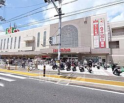 城陽市平川茶屋裏