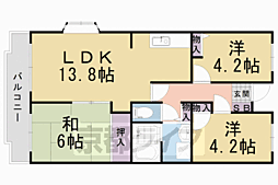 レオパルド 509