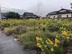 和歌山市狐島・土地・56550