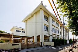 海南市小野田・土地・124093