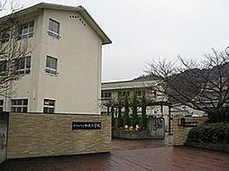 和歌山市加太・土地・56798