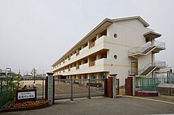 紀の川市桃山町市場・土地・126517