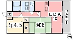ファルネーゼ鵤 402