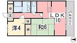 ファルネーゼ鵤 301