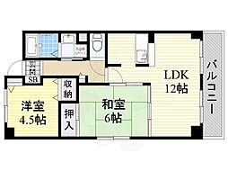 グレイスアベリア