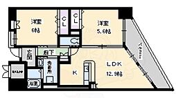 シェーンブルン羽鷹