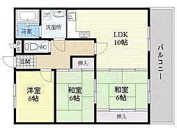ADUKO一条池