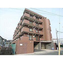 シャルマン秀栄 305