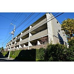 ステラメゾン下北沢 210