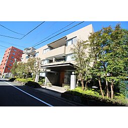 ラナイコートクラシック 305