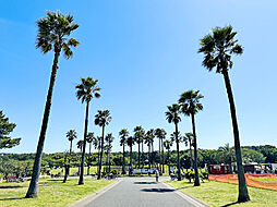藤沢市辻堂６丁目の土地