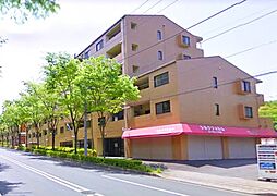 八王子市寺田町