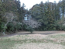 佐渡市上横山の土地