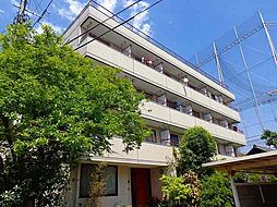 アネックス日吉I 203