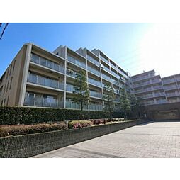 ピエス綱島（ピエスツナシマ） 601