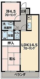 ラ・プリメーラ 307