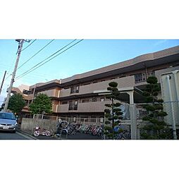 リブェール　ヒルズ　早渕 101