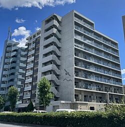 ENYA（エンヤ） 604