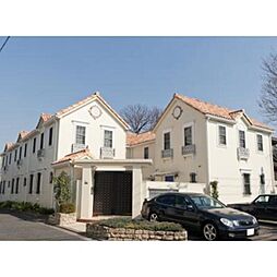 ONE TREE HILL（ワンツリーヒル） 101