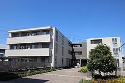 Ｍａｘ　Ｍｏｌｌｙ　Ｄ