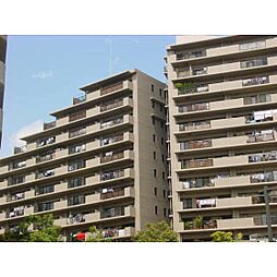 エグザガーデン（C-1203） 1203