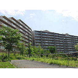 グレーシアパーク八王子みなみ野 1009
