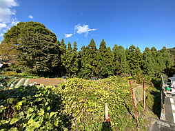 あきる野市入野の土地