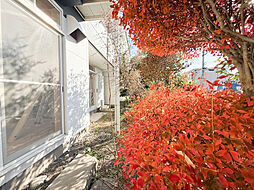 昭島市緑町３丁目