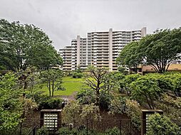 エフユニバース