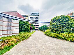 リムザ