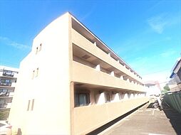 メトロポリタン 205