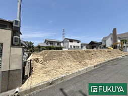1号地