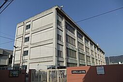 八尾市上之島町南５丁目