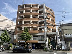 GATO D.M北山 707