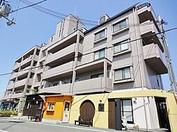 フォンティーン 203