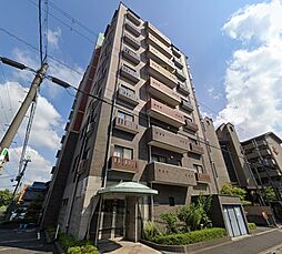 カスシア唐橋 1004