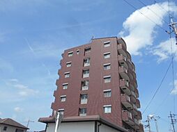 シャインローヤル 303