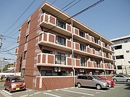 エスパシオ琴平II 203