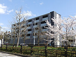 STRUCTURE鴨川紫明