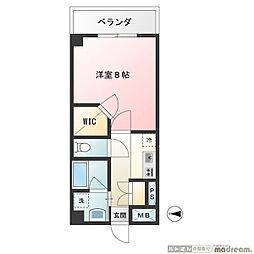 アクセルコート 204