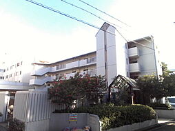 神戸市東灘区魚崎南町５丁目