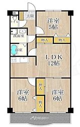 パレーシャル21