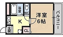 リベラルコート